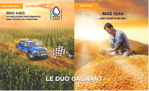 MAS Seeds, une génétique maïs grain performante au service des agriculteurs !