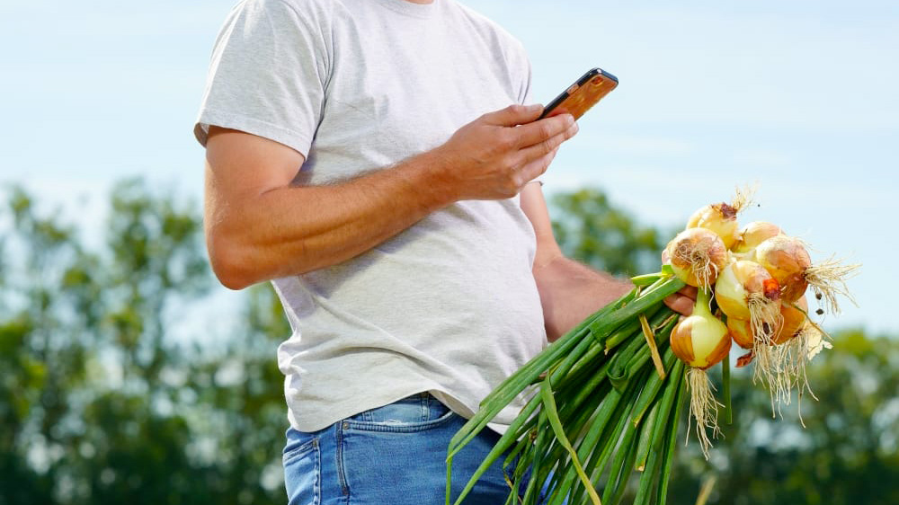 Biosolutions : SynApps, la solution OAD primée, s’implante dans la distribution.