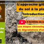 L'approche globale du sol à la plante #1 Etapes de dégradations d'un sol. Introduction série vidéos