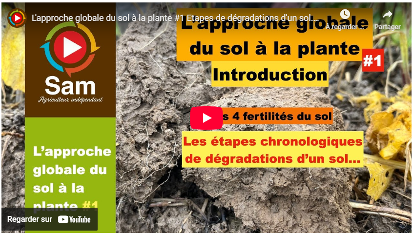 L&rsquo;approche globale du sol à la plante #1 Etapes de dégradations d&rsquo;un sol. Introduction série vidéos