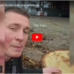 Couper du bois avec une pelleteuse