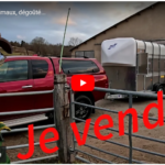 Je vends les animaux (brebis)