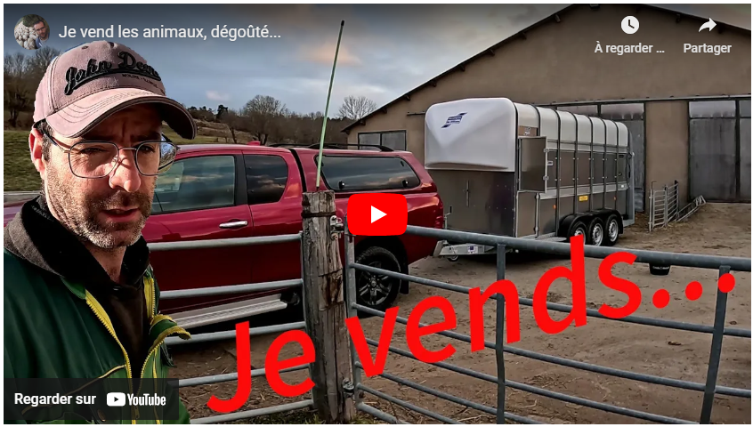 Je vends les animaux (brebis)
