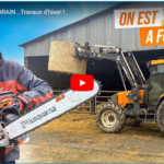 BOIS, VACHE, DRAIN...Travaux d'hiver !
