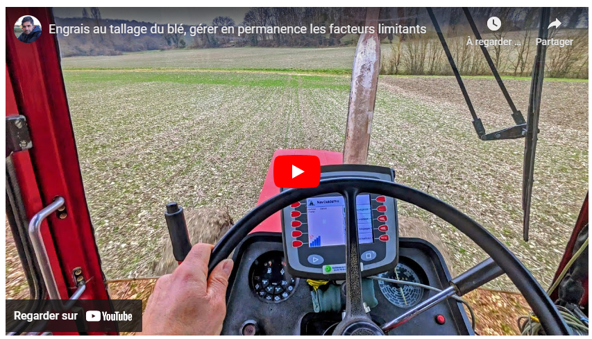 Engrais au tallage du blé, gérer en permanence les facteurs limitants