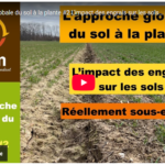 L' approche globale du sol à la plante #2 L'impact des engrais sur les sols. Essais et démonstration