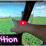 NUTRITION et PROTECTION des COLZAS - 2025