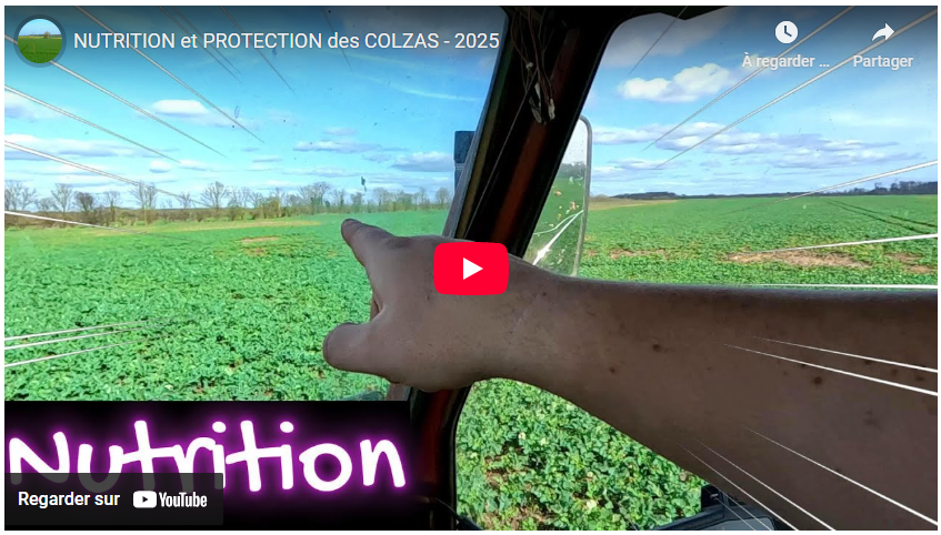 NUTRITION et PROTECTION des COLZAS – 2025