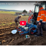 On va semer carottes et oignons pour Jean-Yves, mon Prédécesseur