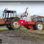 Premier apport d engrais sur les blés 2025