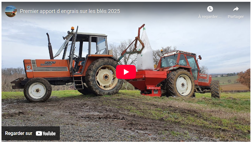 Premier apport d engrais sur les blés 2025