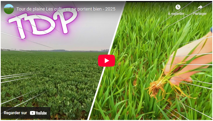 Tour de plaine Les cultures se portent bien – 2025