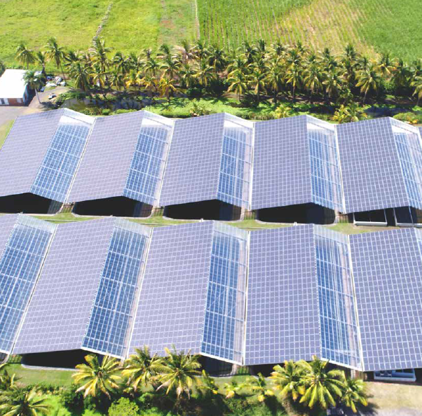 RENOLIT ONDEX Solar, une solution innovante pour l’intégration photovoltaïque agricoles et industriels
