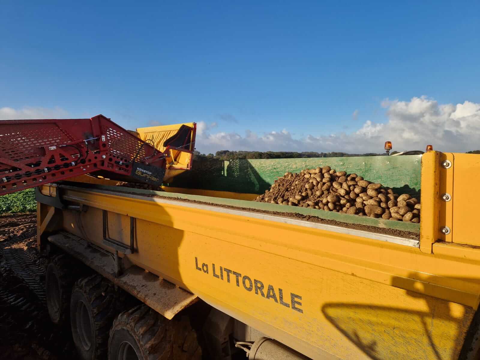 De nombreuses nouveautés chez AMBS La Littorale