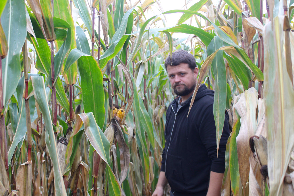 J’implante mon maïs au strip-till dans l’argile