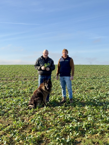 Producteur de céréales : une start-Up sur la ferme