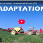 Des volumes d'engrais abaissés car des potentiels affectés - 2025