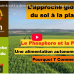 L'approche globale du sol à la plante #4 : La nutrition autonome des plantes. Phosphore et Potasse
