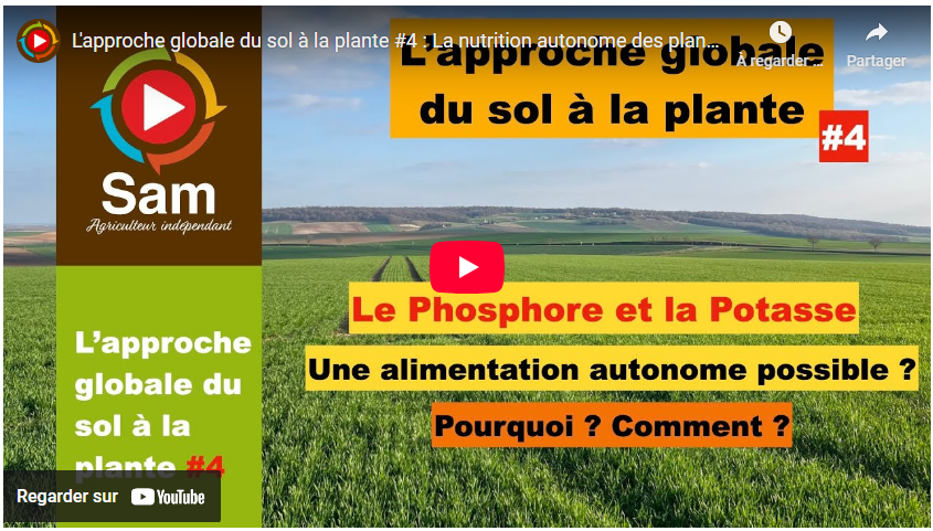 L&rsquo;approche globale du sol à la plante #4 : La nutrition autonome des plantes. Phosphore et Potasse