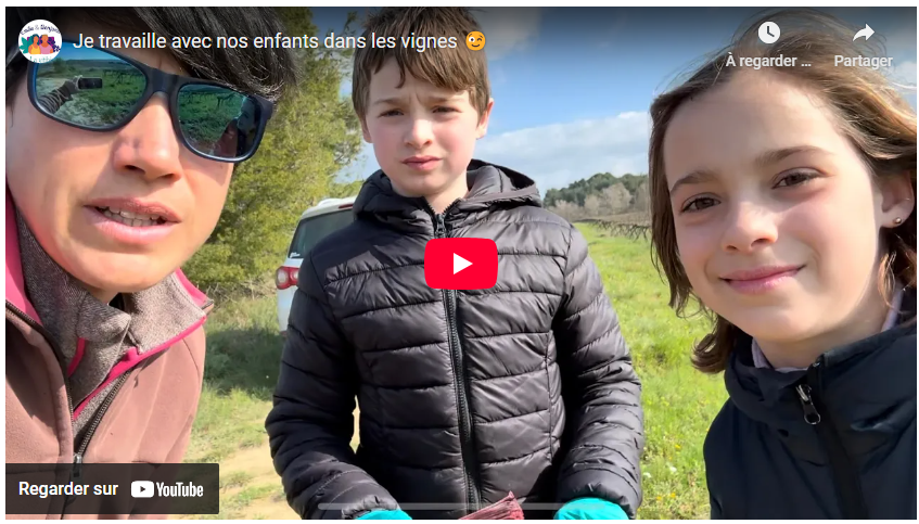 Je travaille avec nos enfants dans les vignes