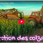 Traitement dans les colzas - 2025