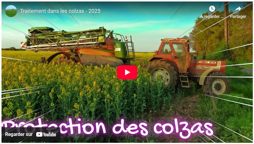 Traitement dans les colzas – 2025