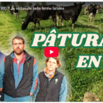PÂTURAGE ET BIO !! Je visite une belle ferme laitière