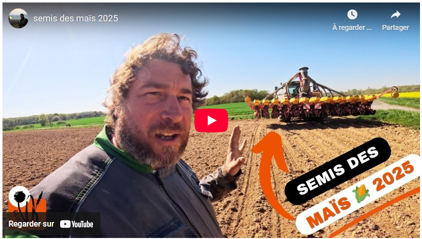 Semis des maïs 2025