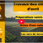 Travaux de préparations pour les semis de maïs - Travail des vers de terre.