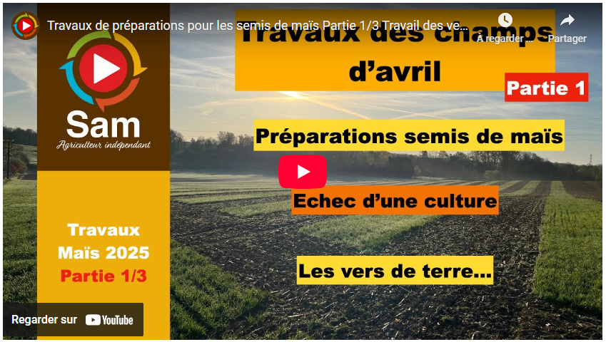 Travaux de préparations pour les semis de maïs – Travail des vers de terre.