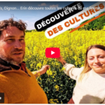 Colza, Blé, Maïs, Oignon... Erin découvre toutes les cultures de ma ferme.