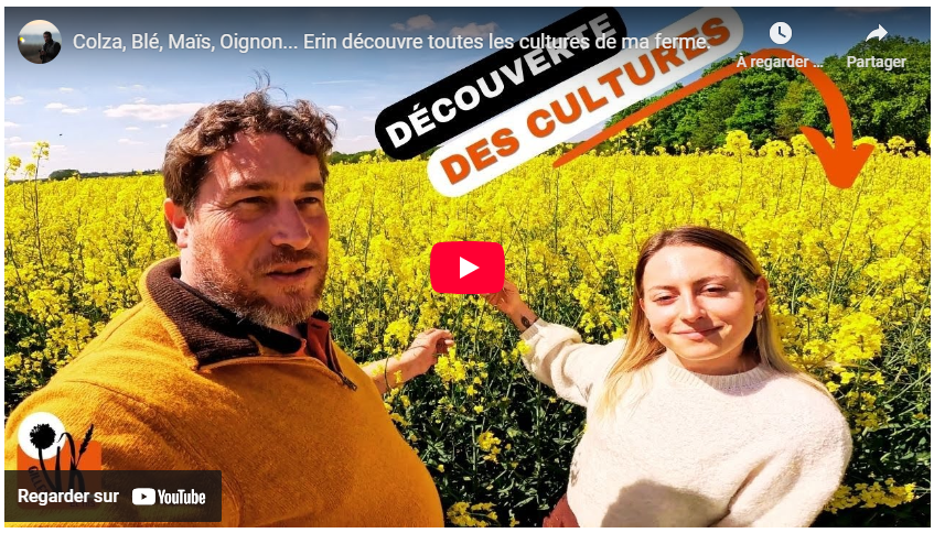Colza, Blé, Maïs, Oignon… Erin découvre toutes les cultures de ma ferme.