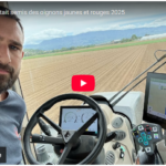Aujourd’hui c’était semis des oignons jaunes et rouges 2025