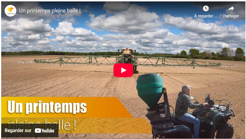 Un printemps pleine balle !