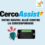 ADAMA lance CercoAssist®, un nouvel outil d’aide à la décision contre la cercosporiose de la betterave