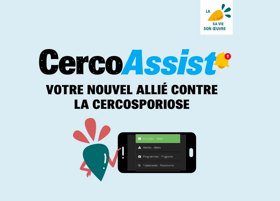 ADAMA lance CercoAssist®, un nouvel outil d’aide à la décision contre la cercosporiose de la betterave