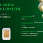 Koppert lance Lumière, l'alternative aux pyrèthres naturels contre la cicadelle de la flavescence dorée