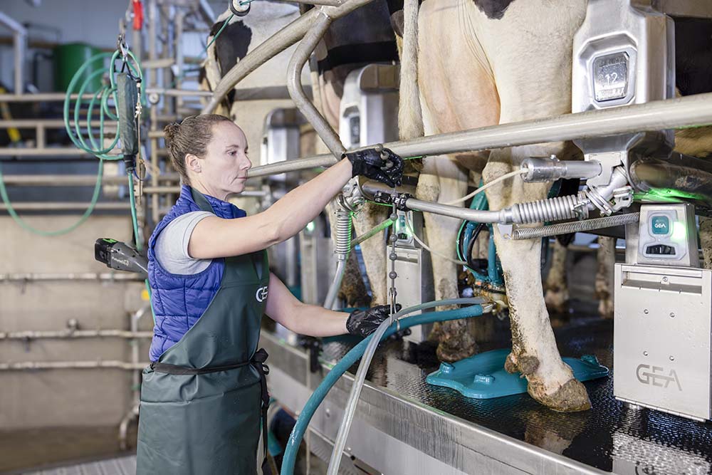 GEA présente le DairyRotor T8600, un système de traite conventionnelle assistée par commande digitale