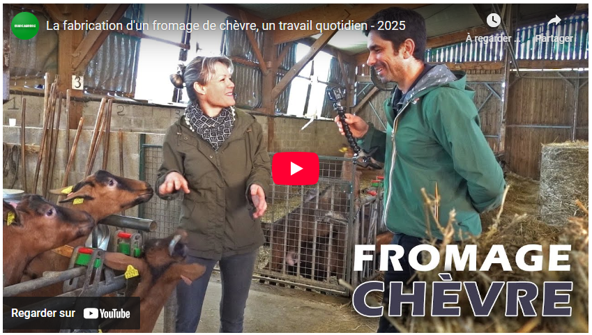 La fabrication d&rsquo;un fromage de chèvre, un travail quotidien – 2025