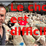 La mise à l'herbe des animaux, une étape clef, pour l’éleveur, pour les troupeaux GESTION !!