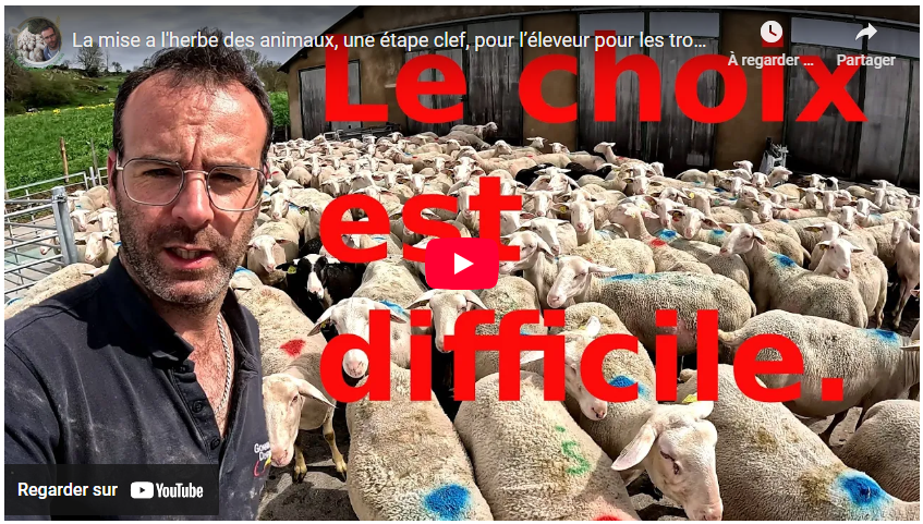 La mise à l&rsquo;herbe des animaux, une étape clef, pour l’éleveur, pour les troupeaux GESTION !!