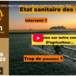 Actualités N°9/2025. Faut-il traiter les cultures contre les maladies ? État des lieux et réflexions.