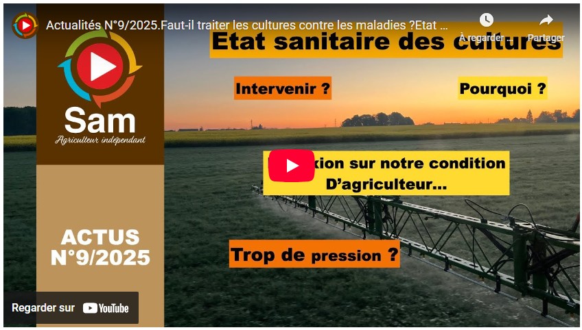 Actualités N°9/2025. Faut-il traiter les cultures contre les maladies ? État des lieux et réflexions.