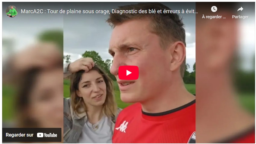 Tour de plaine sous orage, diagnostic des blés et erreurs à éviter en direct des champs