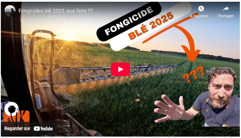 Fongicides blé 2025, que faire ??