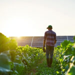 L’acceptabilité, l’enjeu incontournable des projets agrivoltaïques