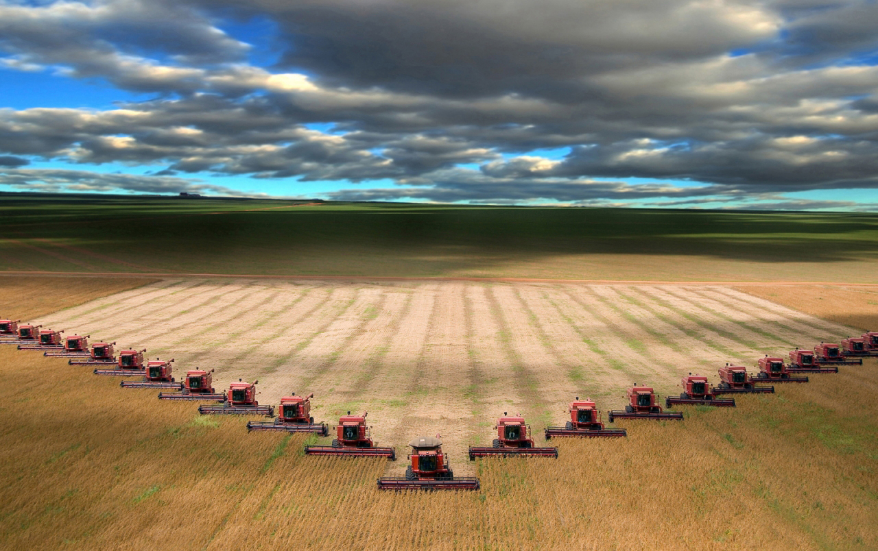 Réchauffement climatique – En 2050, le Kazakhstan ne sera plus le grenier à blé d’Asie centrale