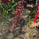 Einböck lance une nouvelle bineuse à buttes transversales